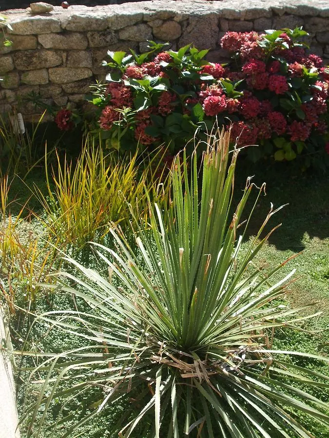 La Sirène Endormie Bed and Breakfast Penmarcʼh 3*,  Francia